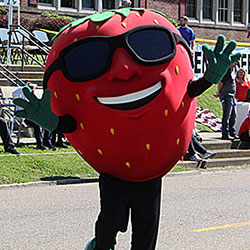 New events coming to Strawberry Festival