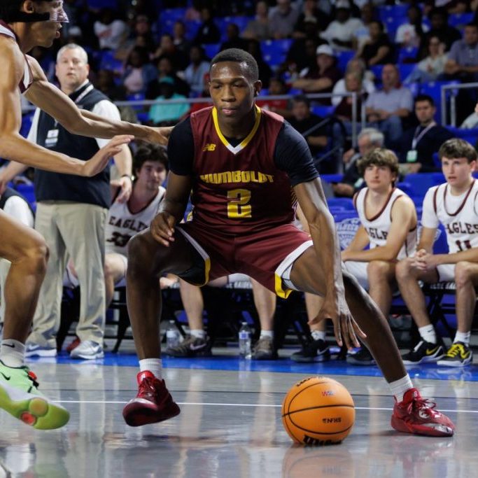 Humboldt's Darion Taylor was named a Class 1A Mr. Basketball finalist and led the Vikings to the Class 1A state championship game.